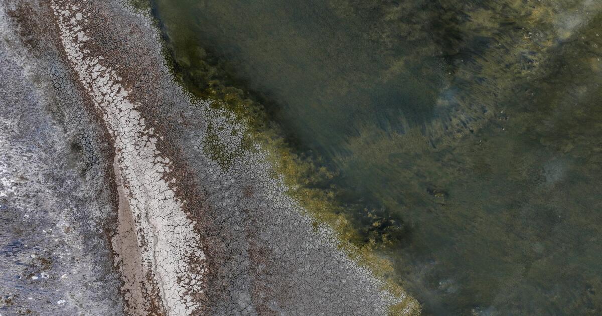 Near the shrinking Salton Sea, children's lungs may pay a price