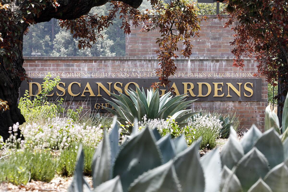 Descanso Gardens officials announced Wednesday the La Cañada botanical garden would rebrand its food offerings in 2020, partnering with Pasadena catering company the Kitchen for Exploring Foods and close its restaurant, Maple.