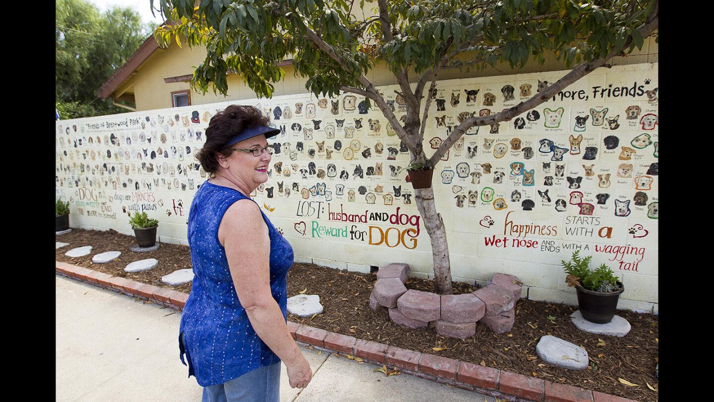 Becky Feltman painted a special wall outside her home in Costa Mesa with faces of the neighborhood dogs and called it "Friends of Brentwood Park."