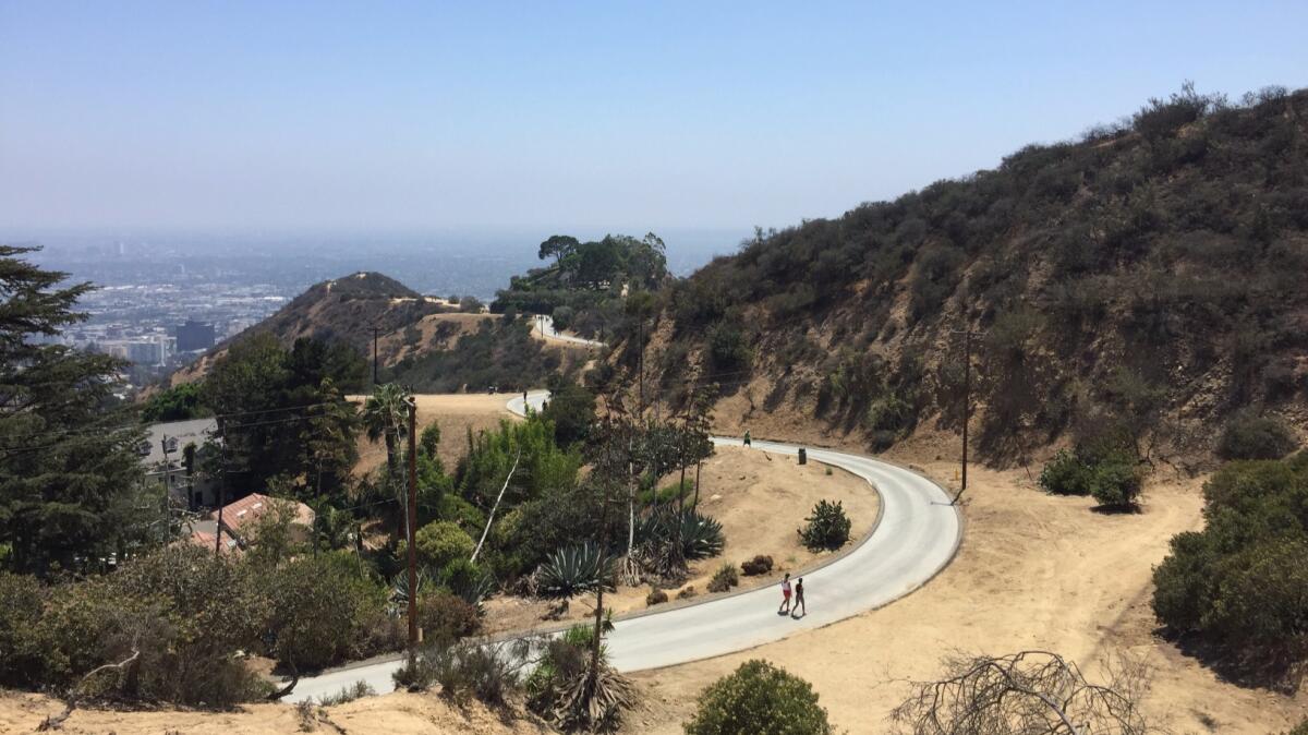 A view of the repaved central trail. The east and west trails are still unpaved.