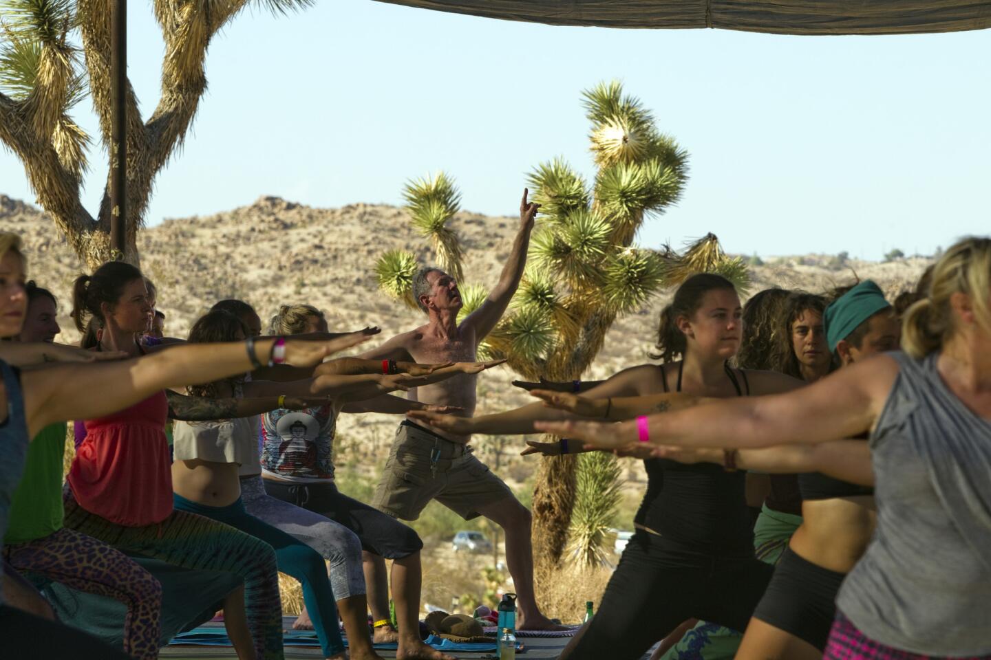 Joshua trees provide a natural backdrop for a yoga workshop at 2014's Bhakti Fest, which was held Sept. 4-7 in Joshua Tree, Calif.