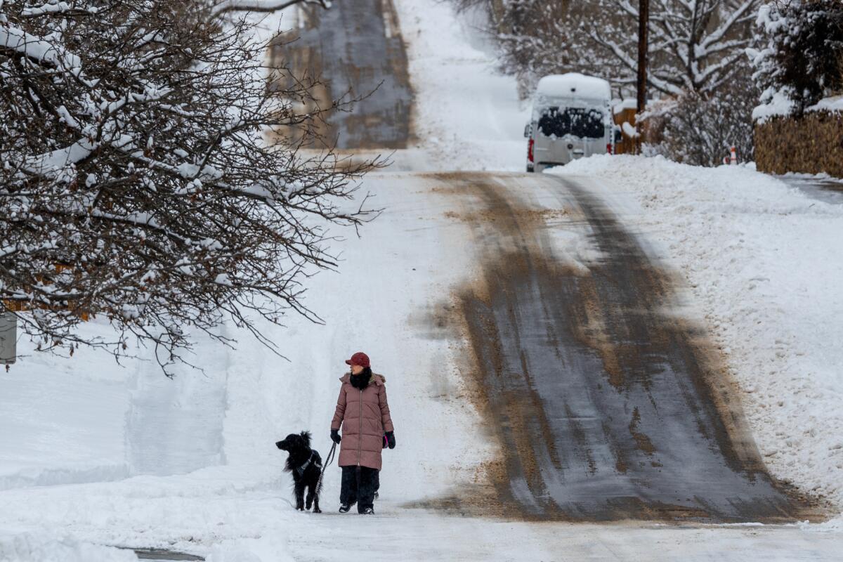 A woman walks her dog on a snow-covered street