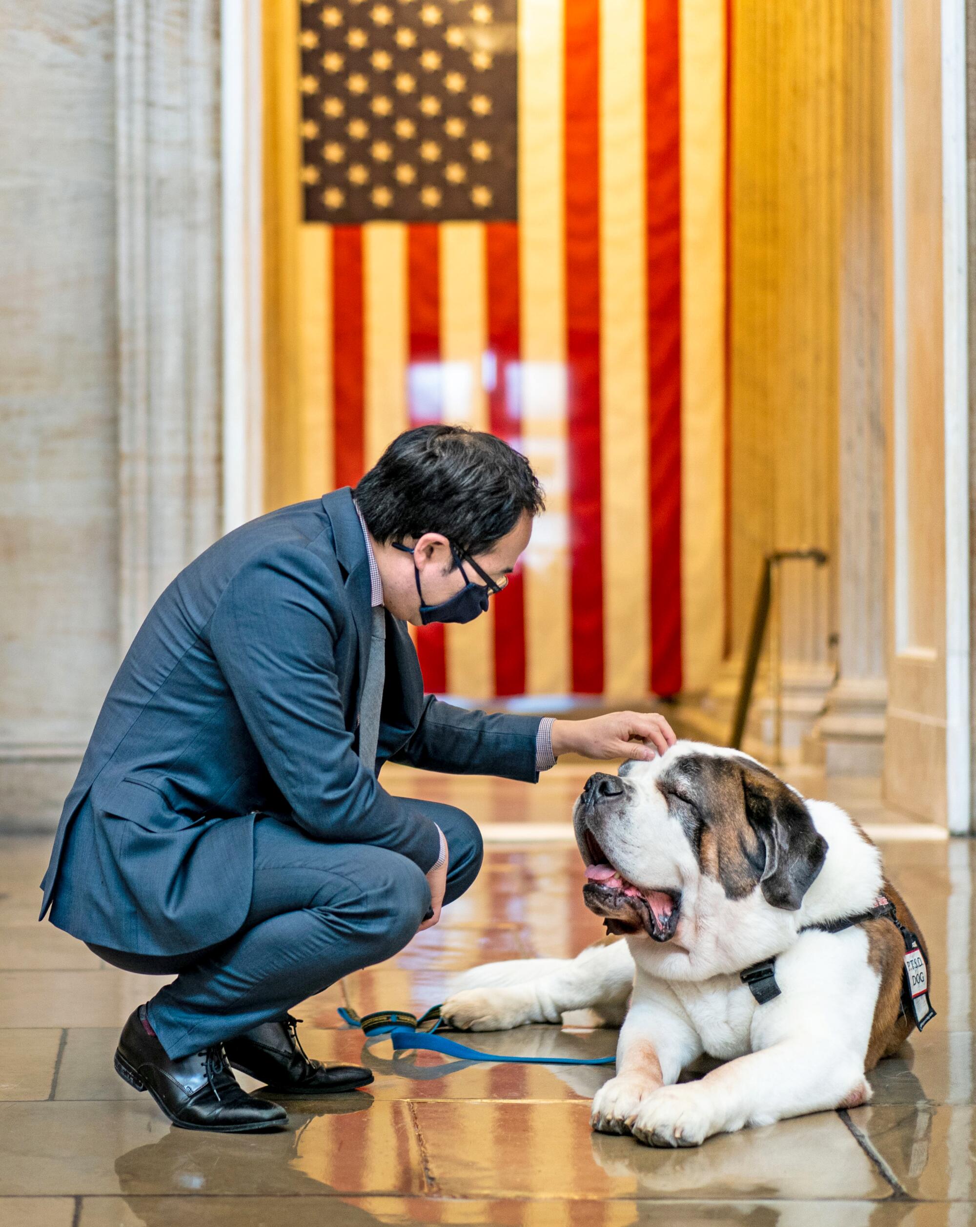 Rep. Andy Kim pets Officer Clarence, a Saint Bernard with the Greenfield (Mass.) Police Department, in the Capitol Rotunda.