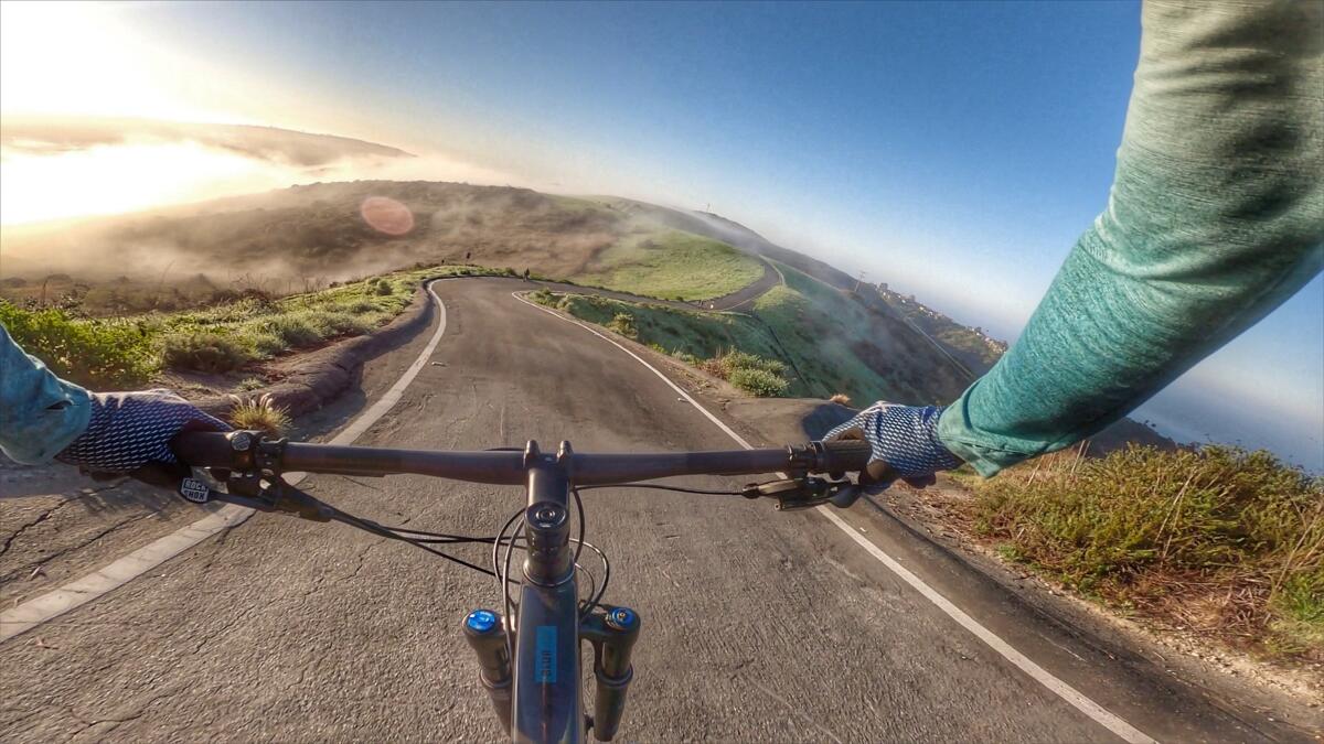 "Morning Commute," a photo by Jan Schrieber, was a runner up in Laguna Beach's citywide photo contest.