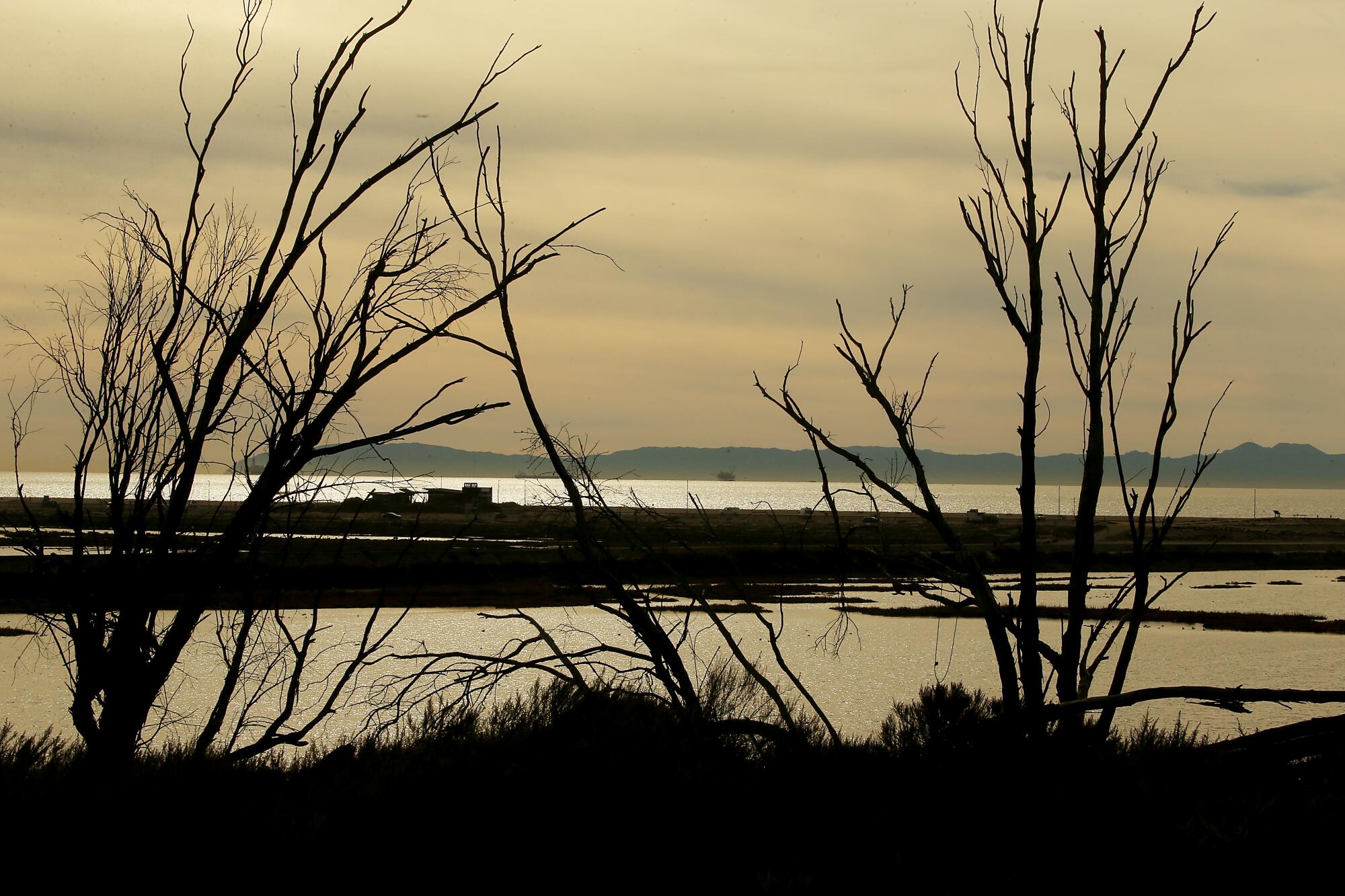 The Bolsa Chica wetlands serve as a backdrop to coastal land that the Acjachemen and Tongva people have reclaimed.