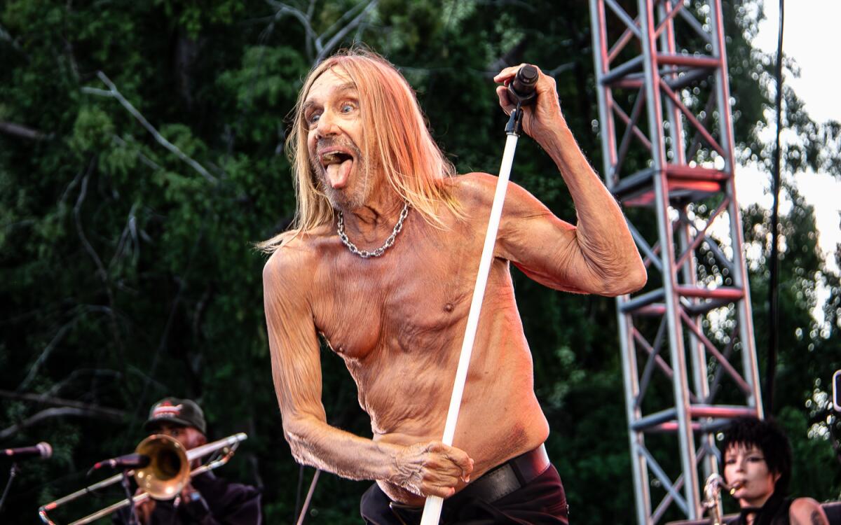 Iggy Pop será a atração principal da primeira noite do Mosswood Meltdown.