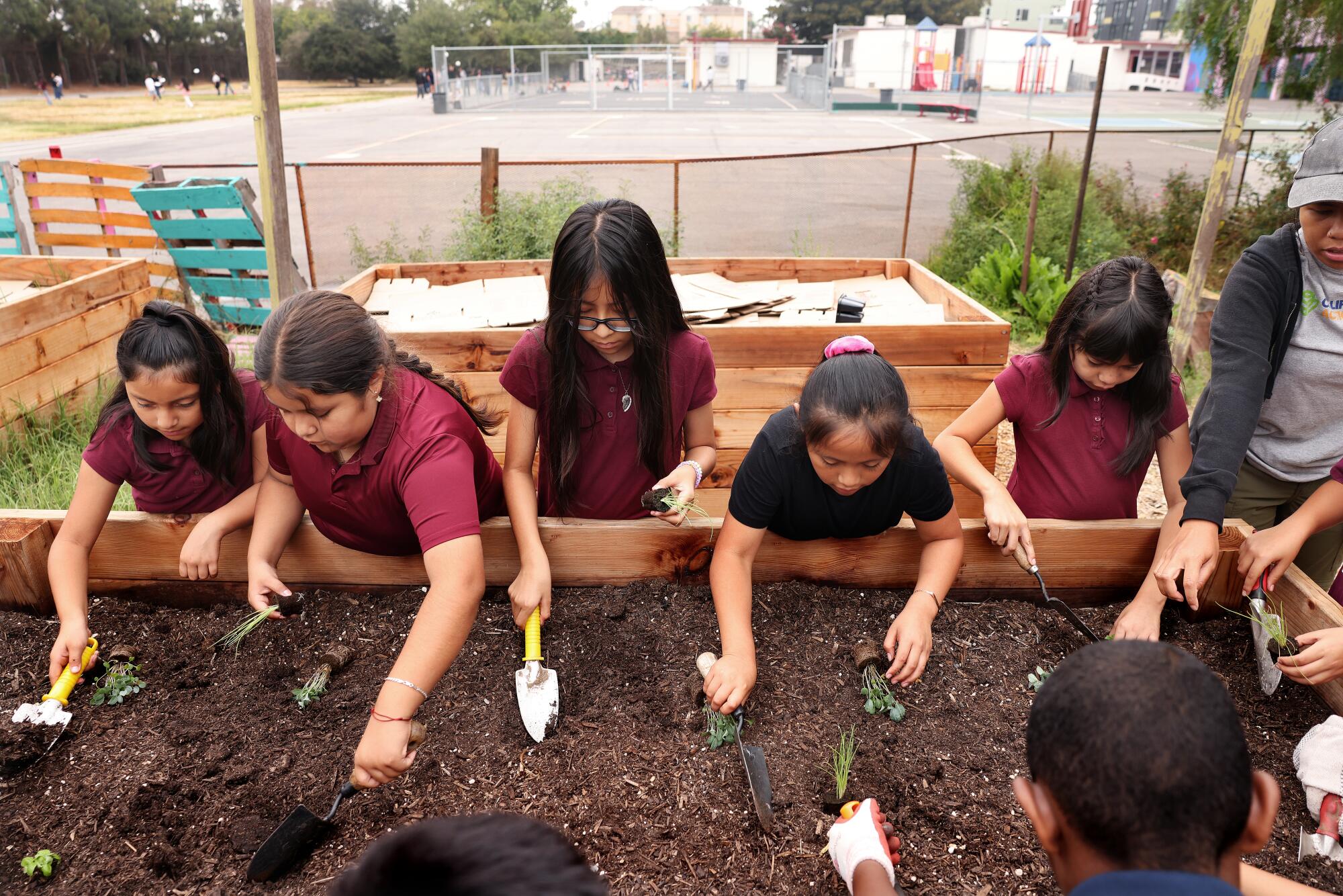 Students dig in a raised garden bed.