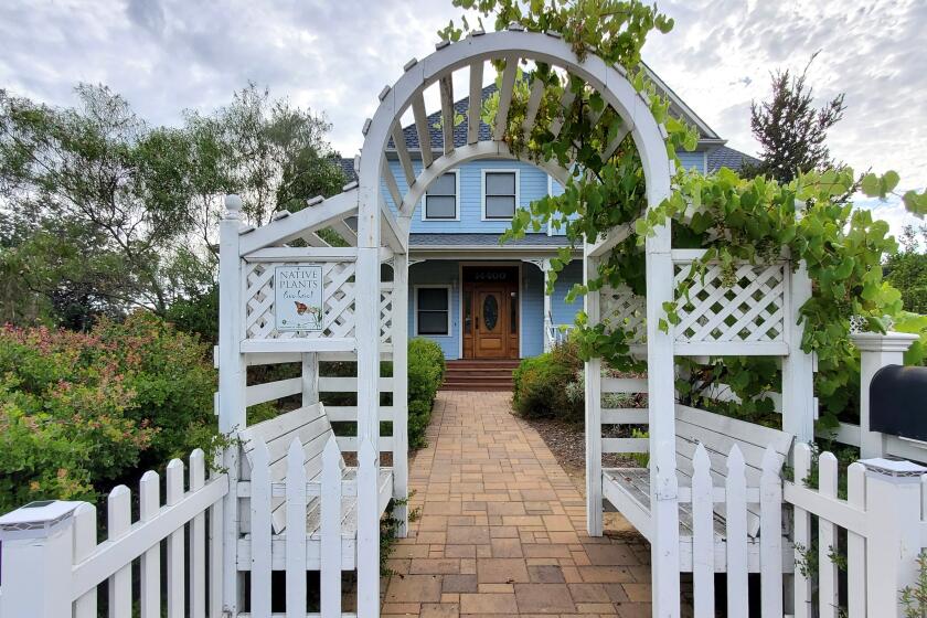 This garden at the home of Greg and Paula Vines will be included in the California Native Plant Society’s Native Garden Tour.