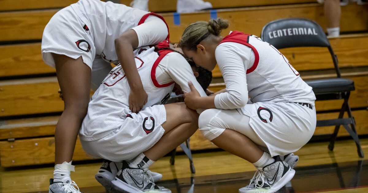 Man punched high school girls playing basketball, police say Man punched high school girls playing basketball, police say