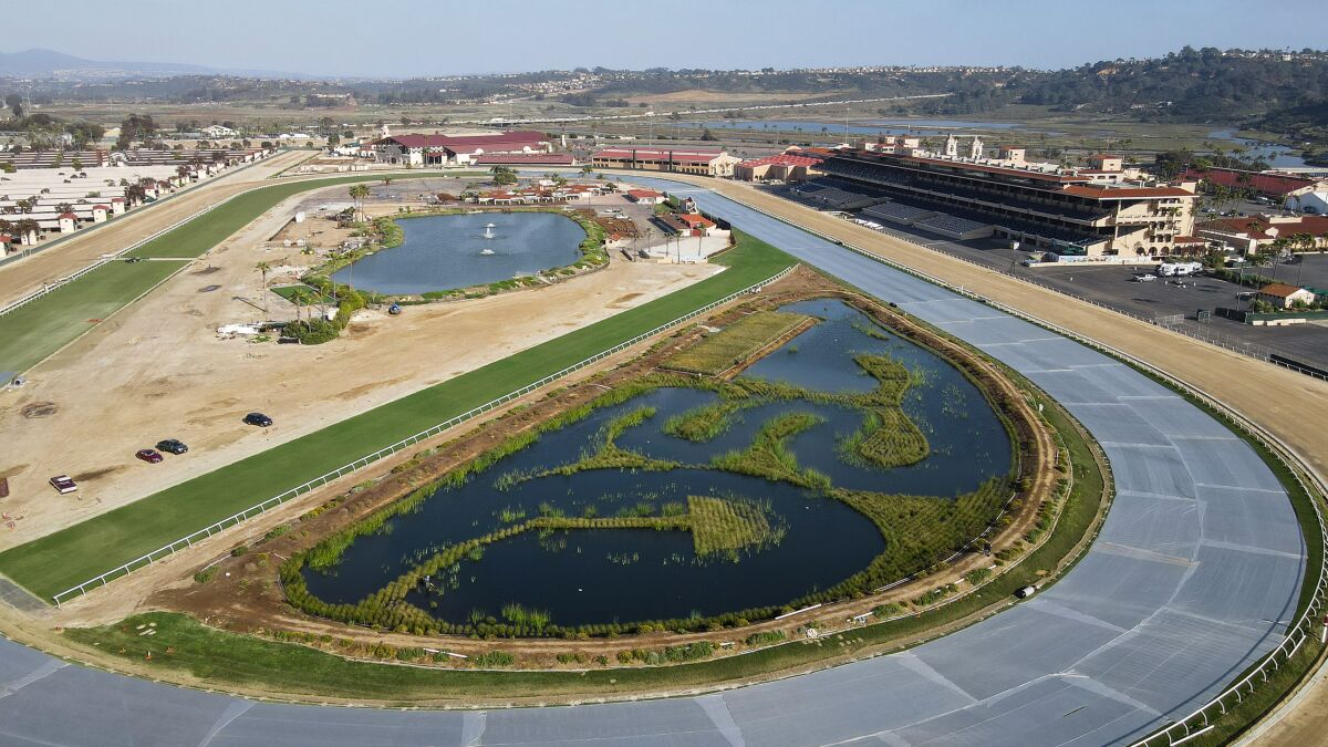 Great Ecology has taken on several local projects, like this one to treat surface water runoff from the Del Mar Fairgrounds.