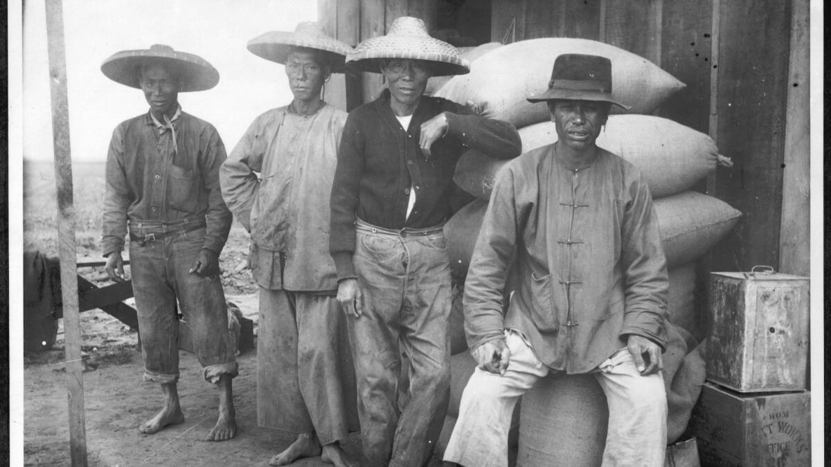 A portrait of Chinese sack sewers and stackers in 1898.