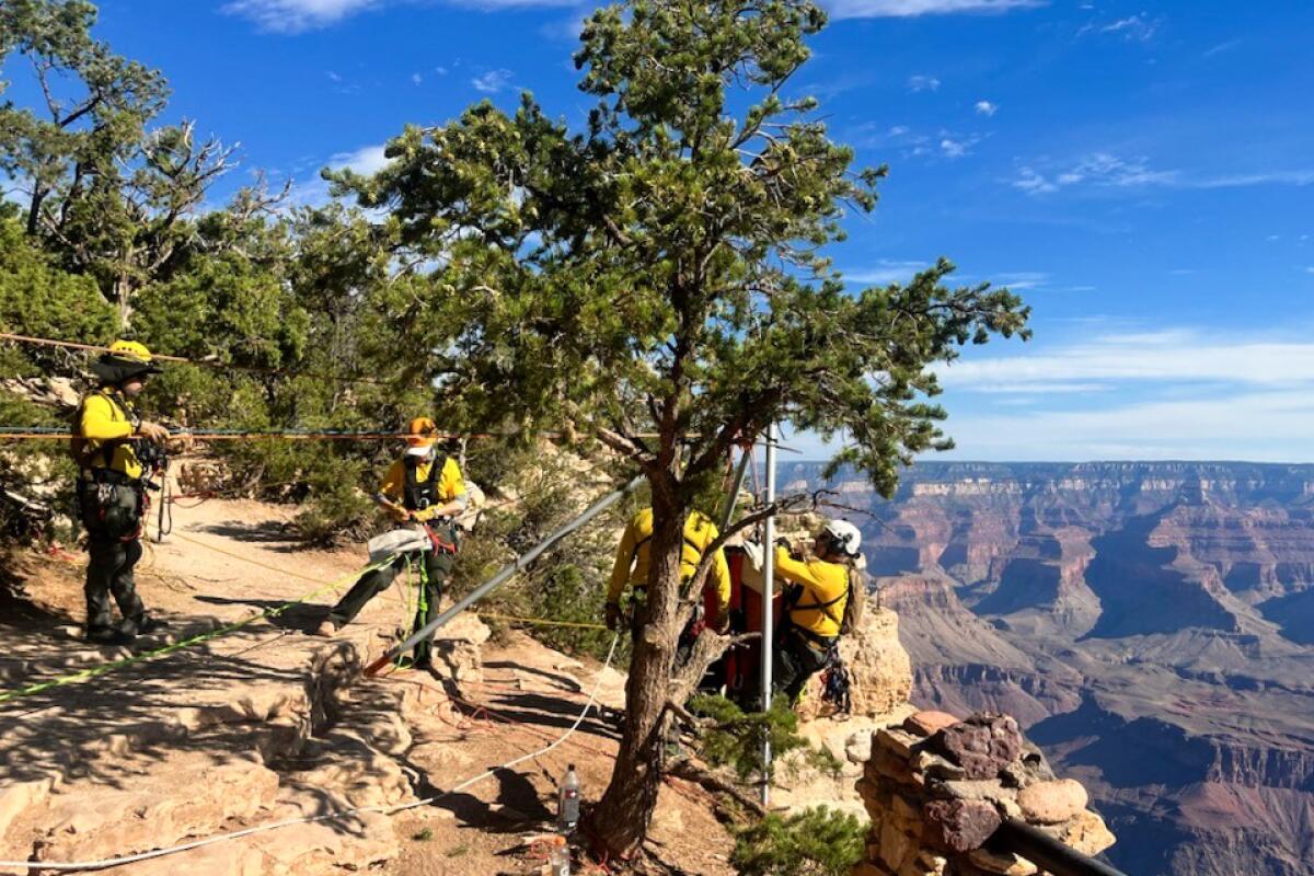 Officials respond at Yavapai Point on Friday after a man attempted to BASE jump from the South Rim of the Grand Canyon.