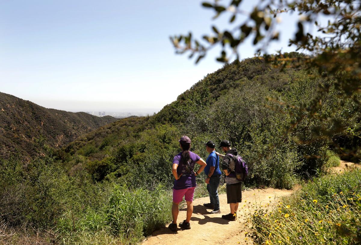 Three people stand on a hiking trail looking out over a canyon