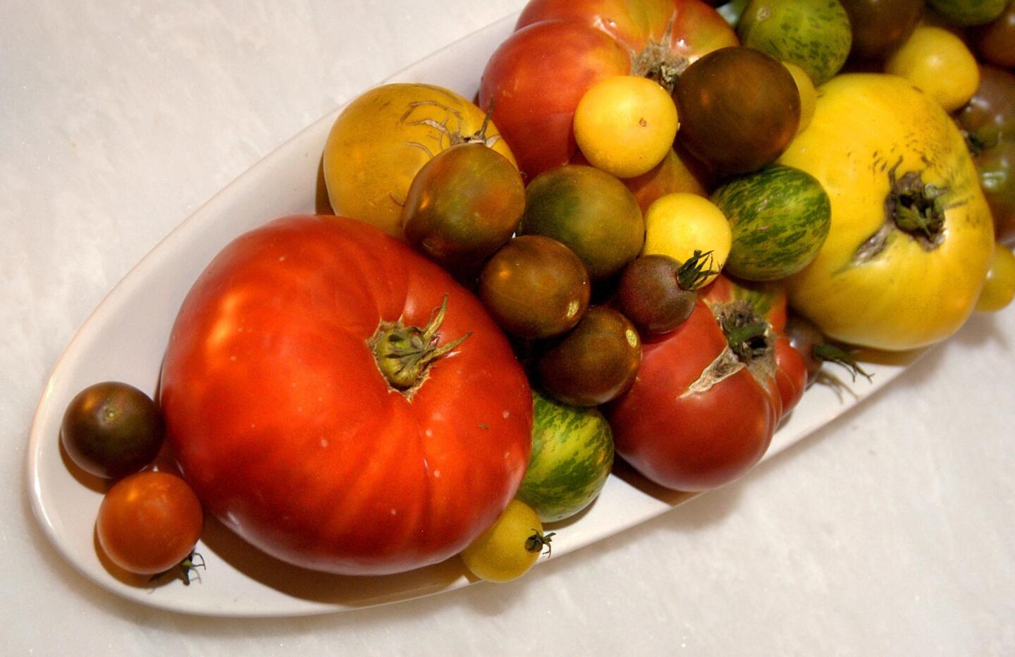A selection of chef Sal Marino's home grown tomatoes are displayed at the restaurant. Il Grano features a seasonal tomato tasting menu.