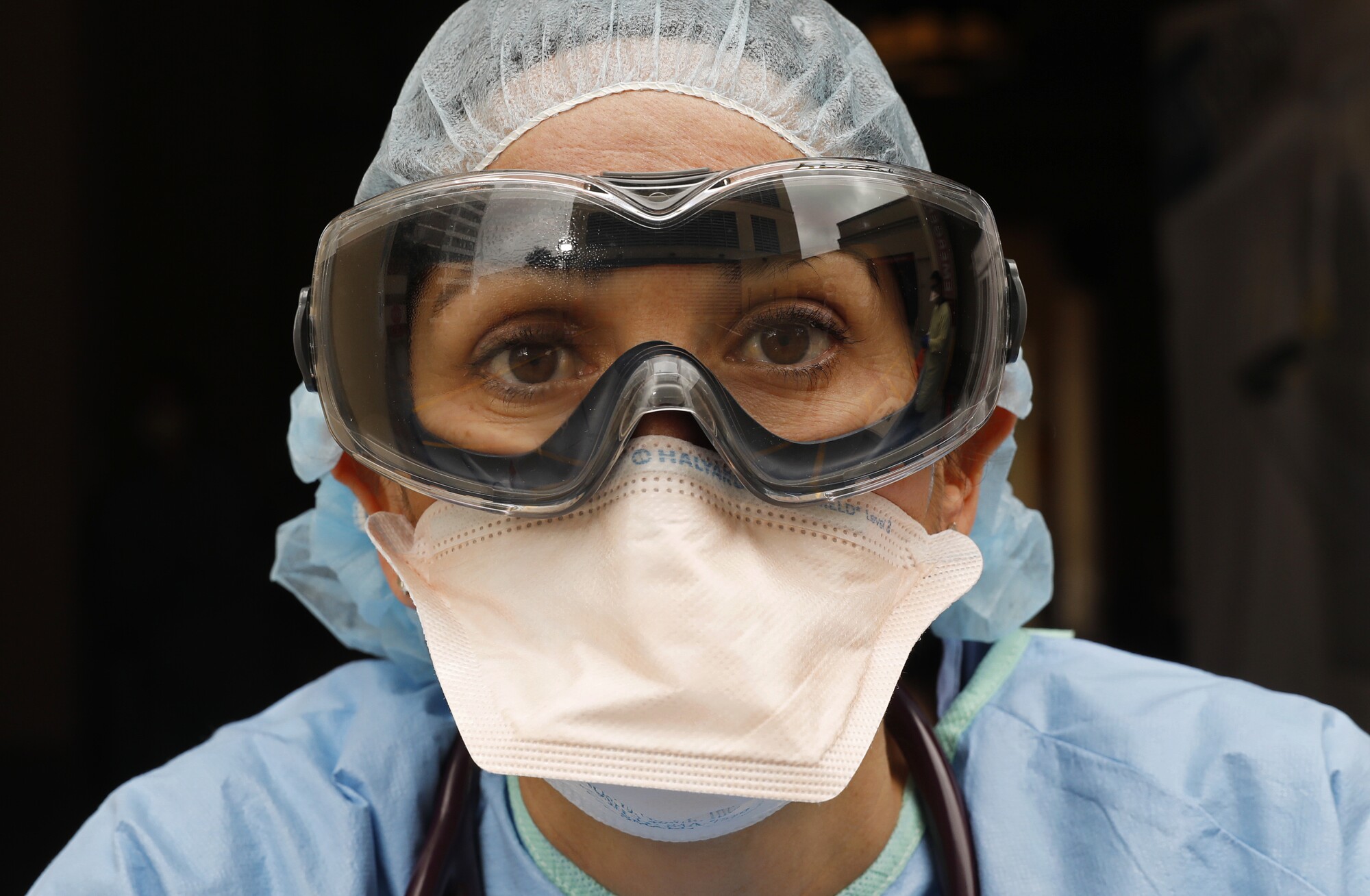 Dr. Lisa Dabby