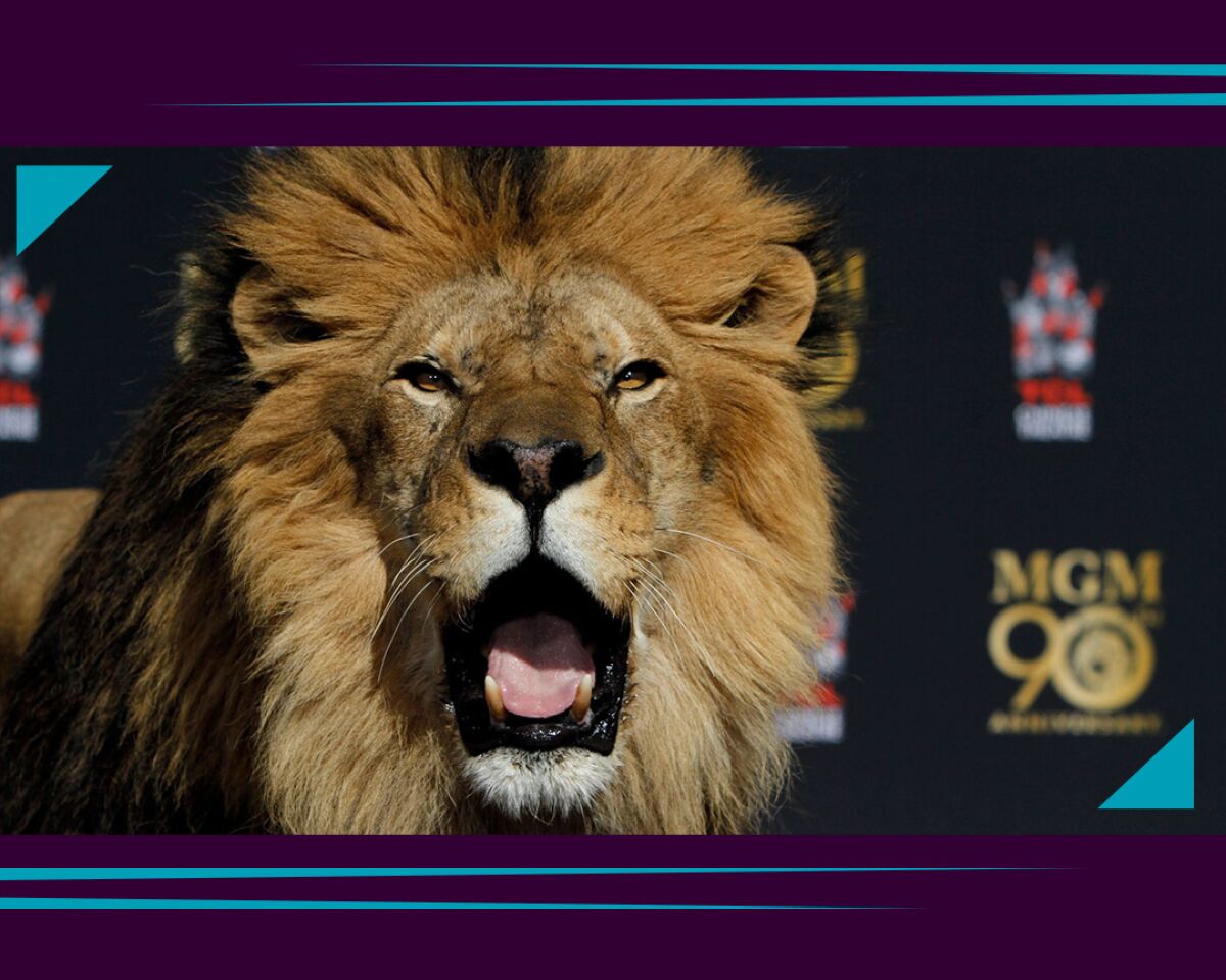 MGM's "Leo the Lion"