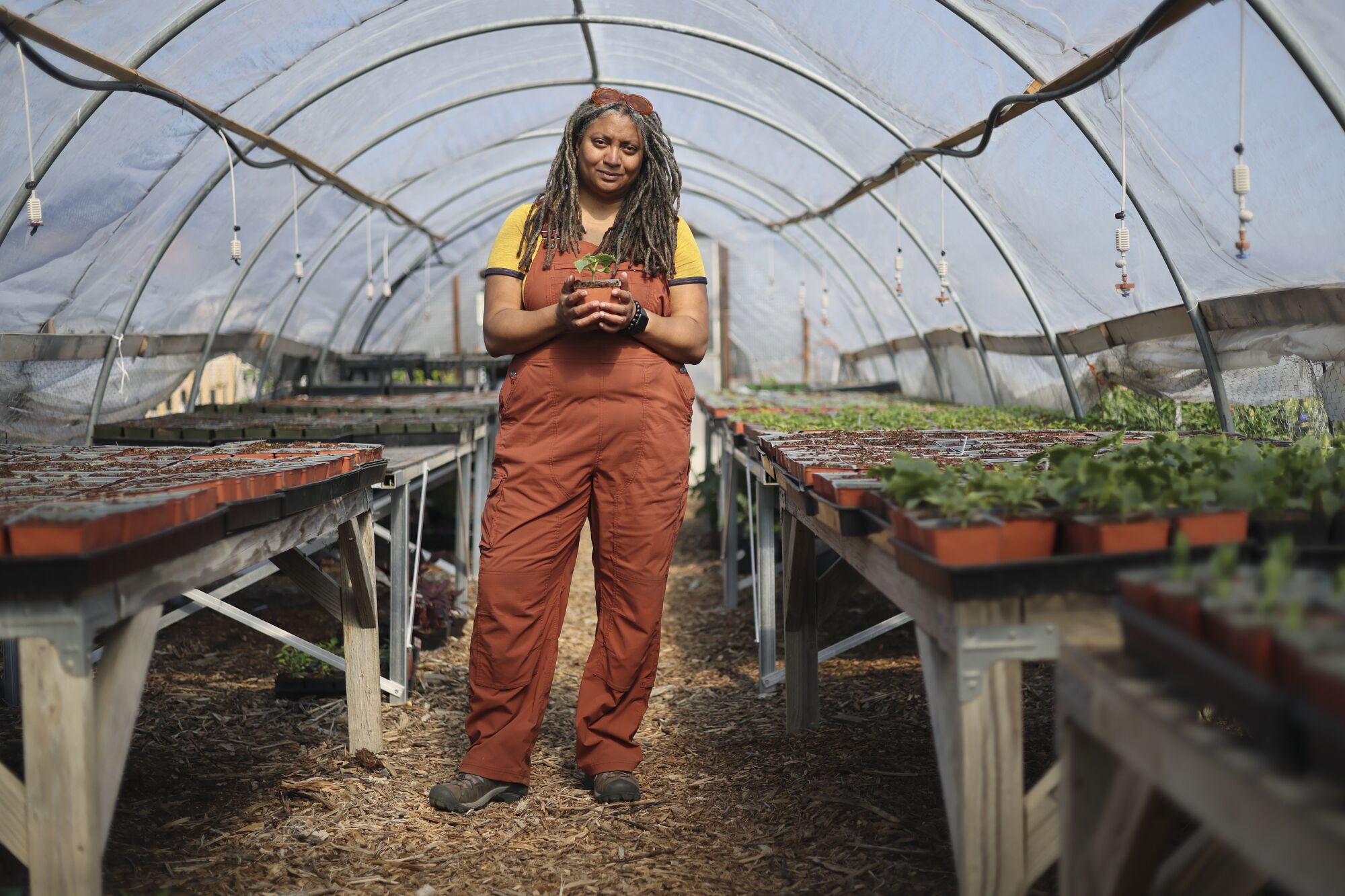 Doria Robinson holds a cucumber plant in a greenhouse
