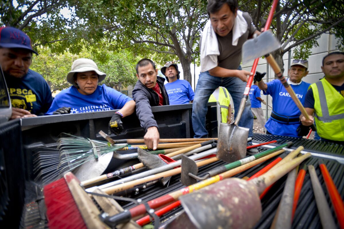 Day laborers from the CARECEN Day Labor Center and the IDEPSCA Labor Center pick out shovels and other tools 