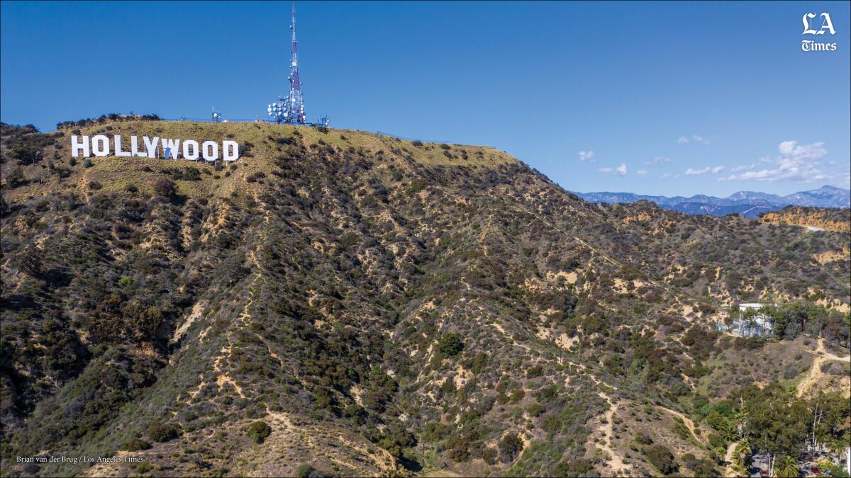 An aerial view of the Hollywood sign on a hillside with blue sky in the background.