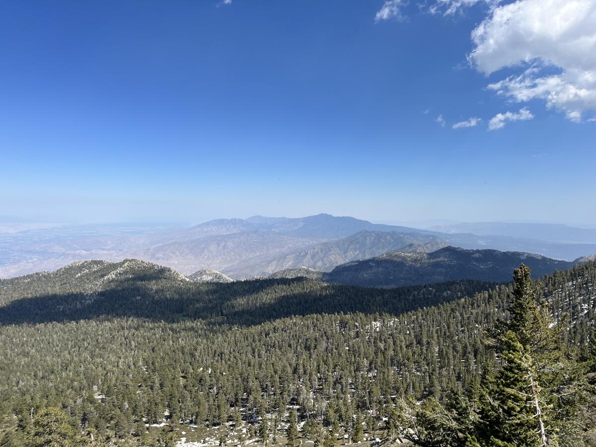 A view of the San Jacinto Mountains, while hiking back down to the Palm Springs Aerial Tramway.