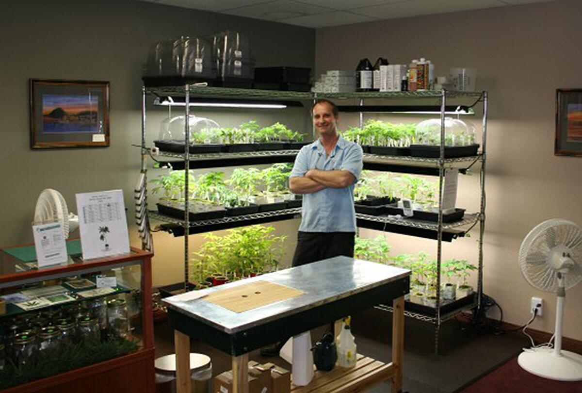In April 2006, Charles Lynch opened a medical marijuana dispensary in Morro Bay.