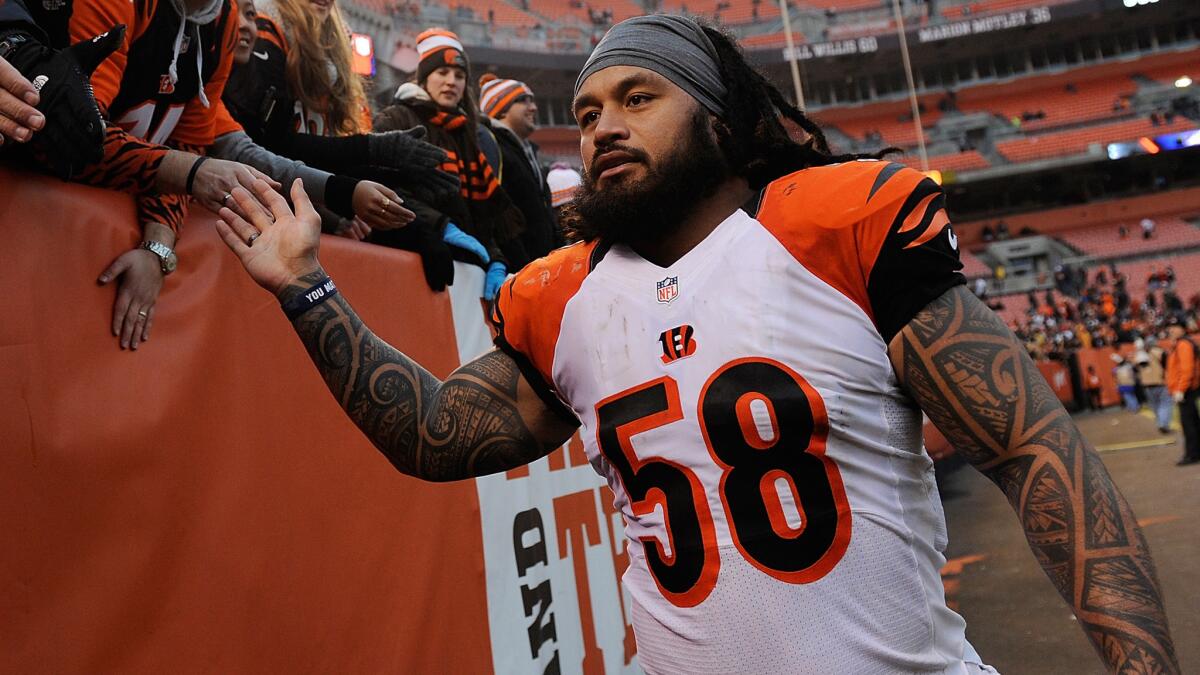 Cincinnati Bengals linebacker Rey Maualuga celebrates with fans after a 30-0 win over the Cleveland Browns on Sunday.