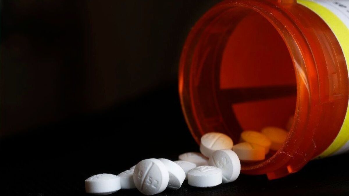 A series of pain clinics, also known as pill mills, in Florida and Tennessee dispensed millions of opioids that federal authorities have linked to a "significant percentage" of 700 patient deaths.