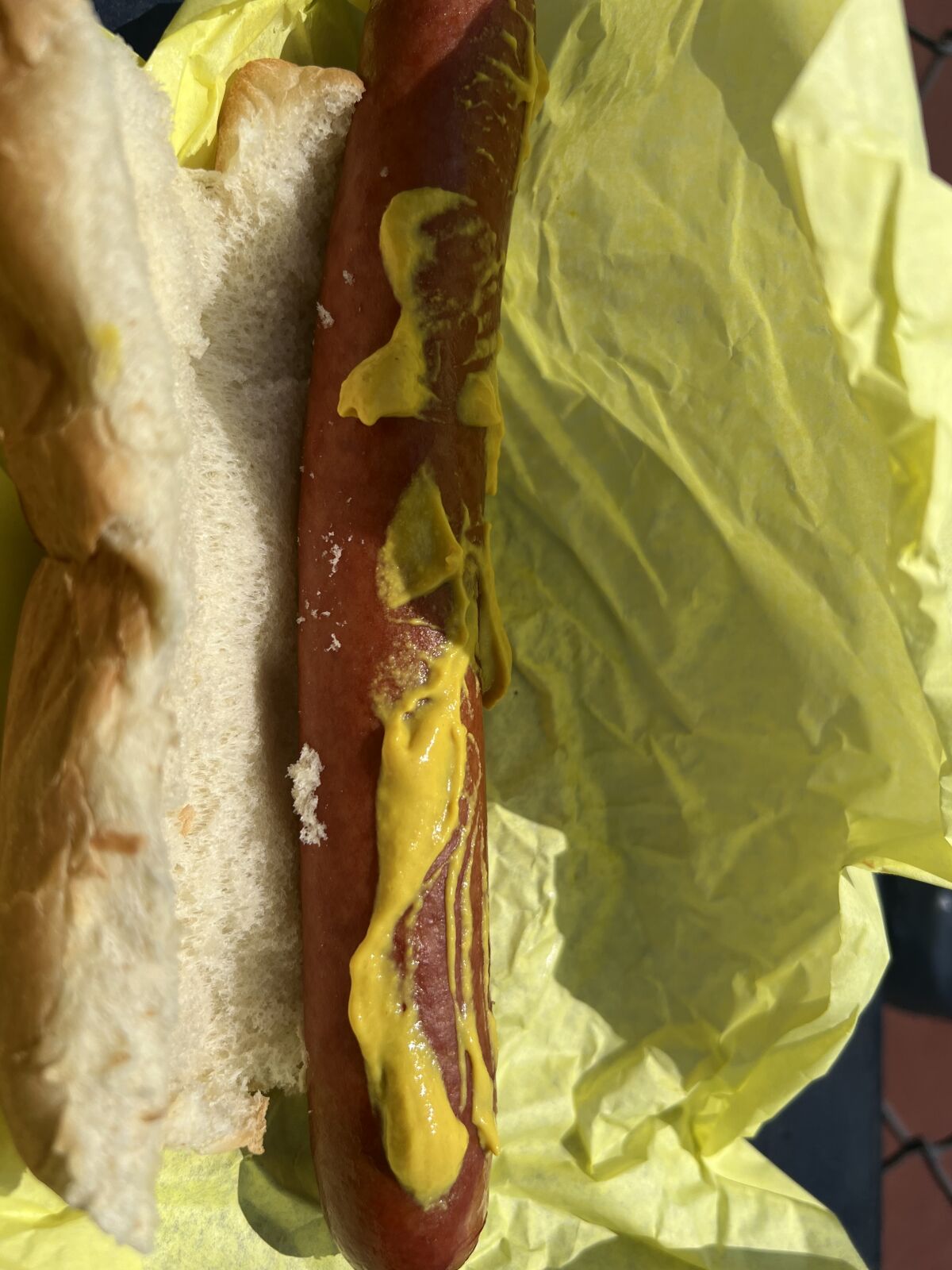 Birmingham hot dog during track championships.