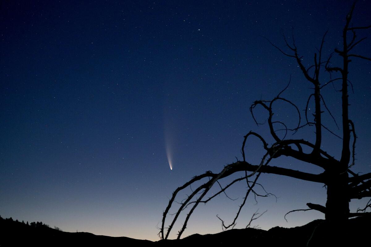 Comet NEOWISE