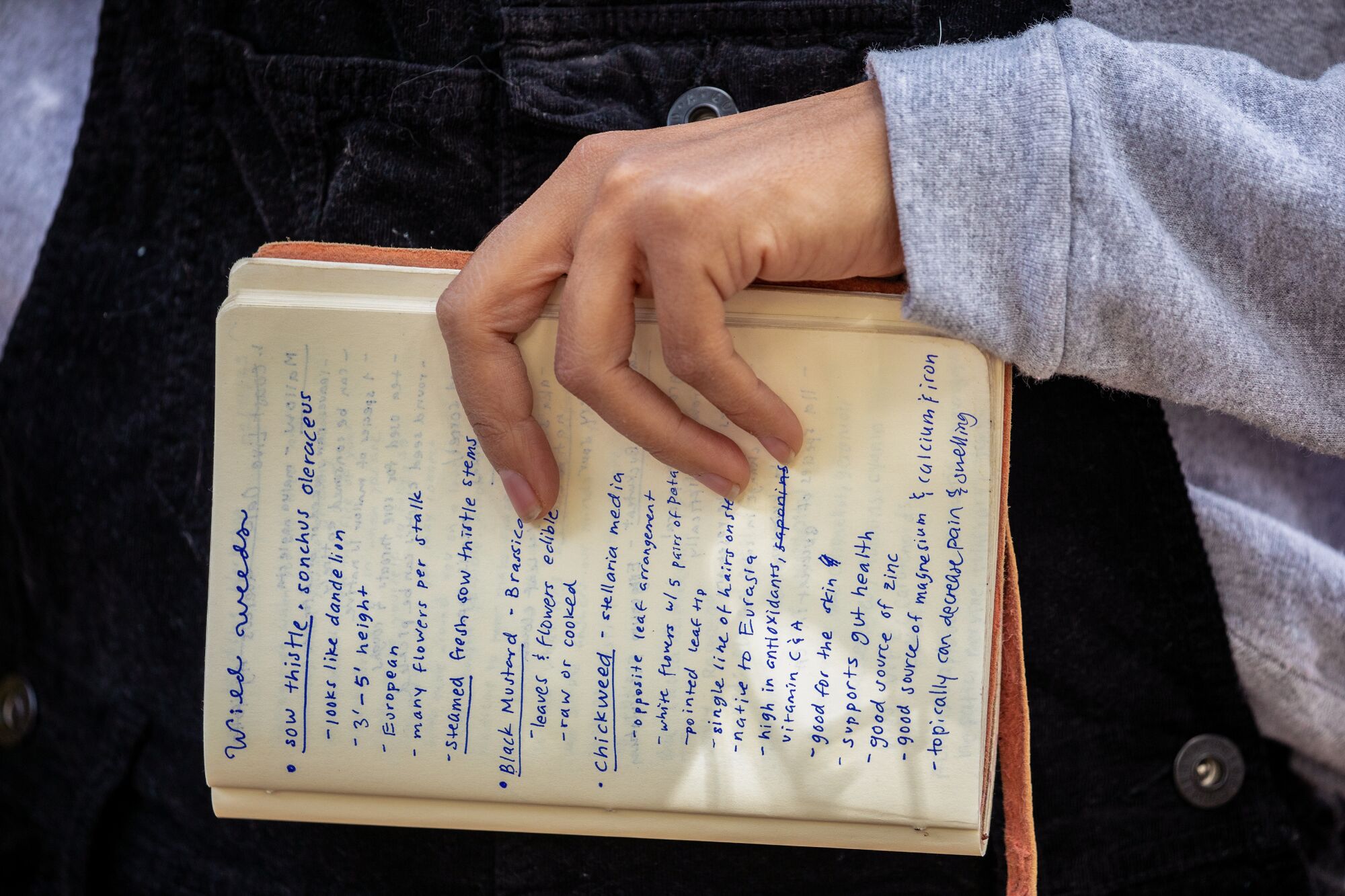 A close-up of a hand holding a journal with handwritten notes in it.