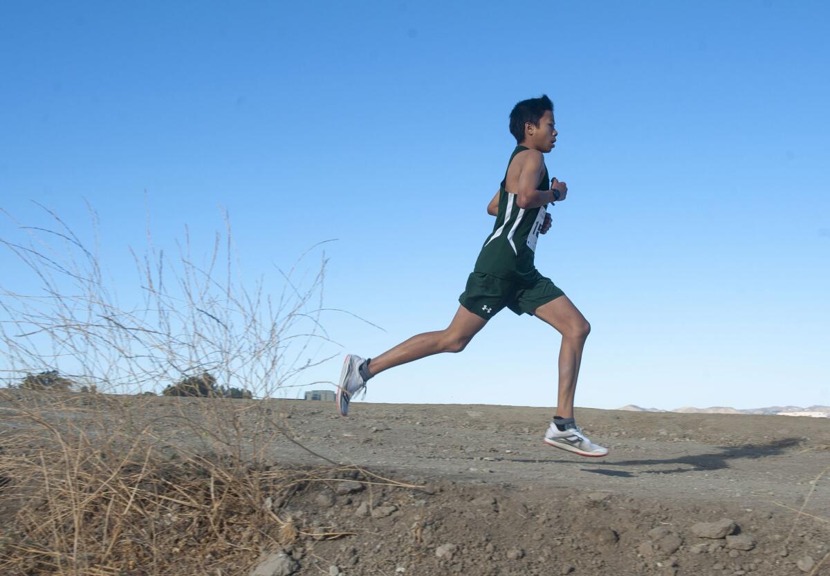 Providence's Xander Penaflor leads the way midway through the boys varsity Prep League Cross Country finals at Pierce College Saturday. (Photo by Miguel Vasconcellos)