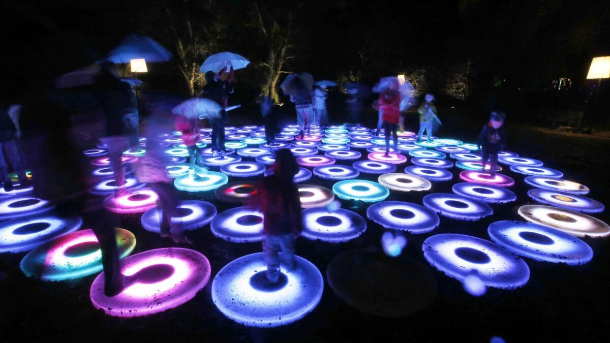 Visitors walk through the Descanso Gardens, "Enchanted: Forest of Light" in the rain on Dec. 23, 2016.