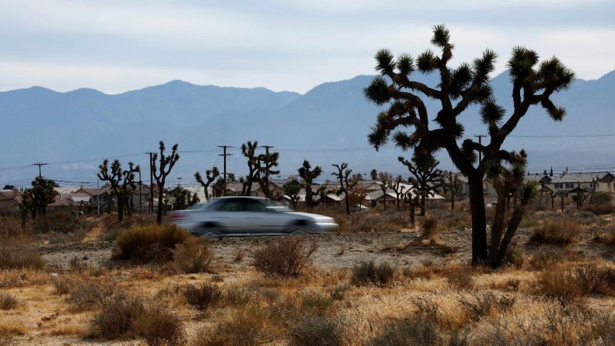 A section of Palmdale where Caltrans hopes to build an eight-lane freeway.