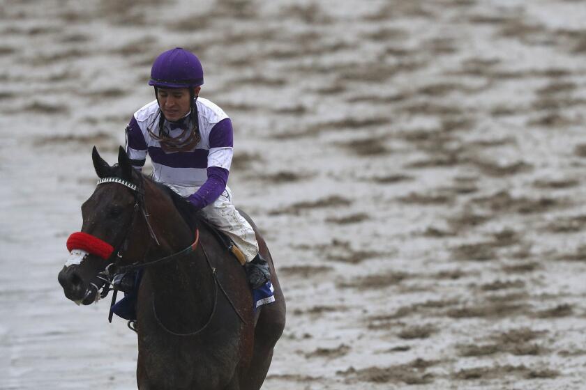 Nyquist, with jockey Mario Gutierrez, lost for the first time Saturday at the Preakness Stakes.