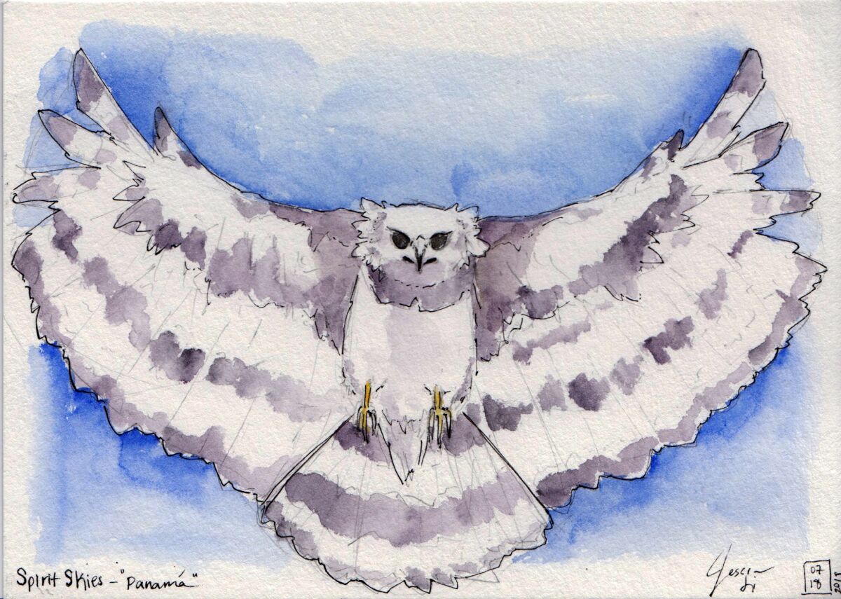 Pictured is a watercolor of one of Panamanian student Giovanna Agrazal’s comic book characters that Canyon Crest Academy student Jessica Li created live during the Comic-Con panel.