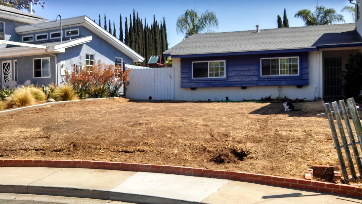 A home with a brown front lawn, which will be replaced.