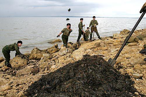 Russian oil spill