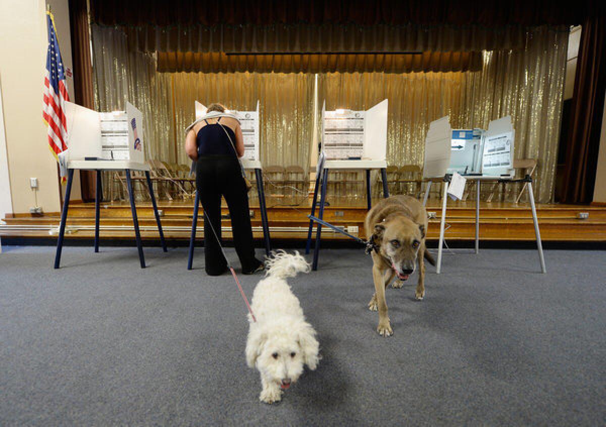 A white bichon frise named Lambchop and a mutt named Coffee wait for owner Claudia Kunin as she votes in a Los Angeles election earlier this year. On Tuesday voters in an Assembly district largely in the San Fernando Valley will cast ballots in a special election.