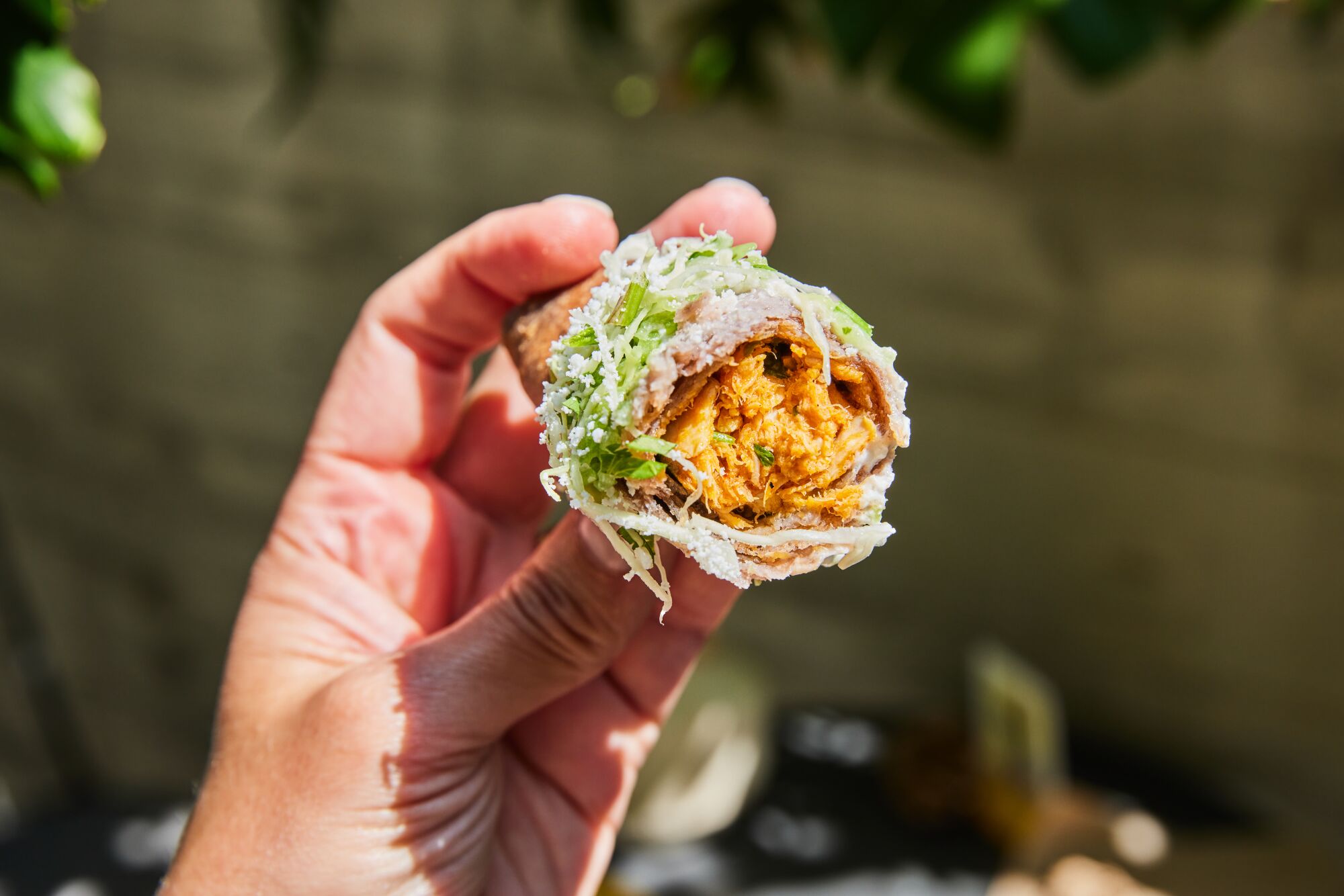 A hand holds up a flauta with crema, salsa verde, shredded cabbage and cheese.