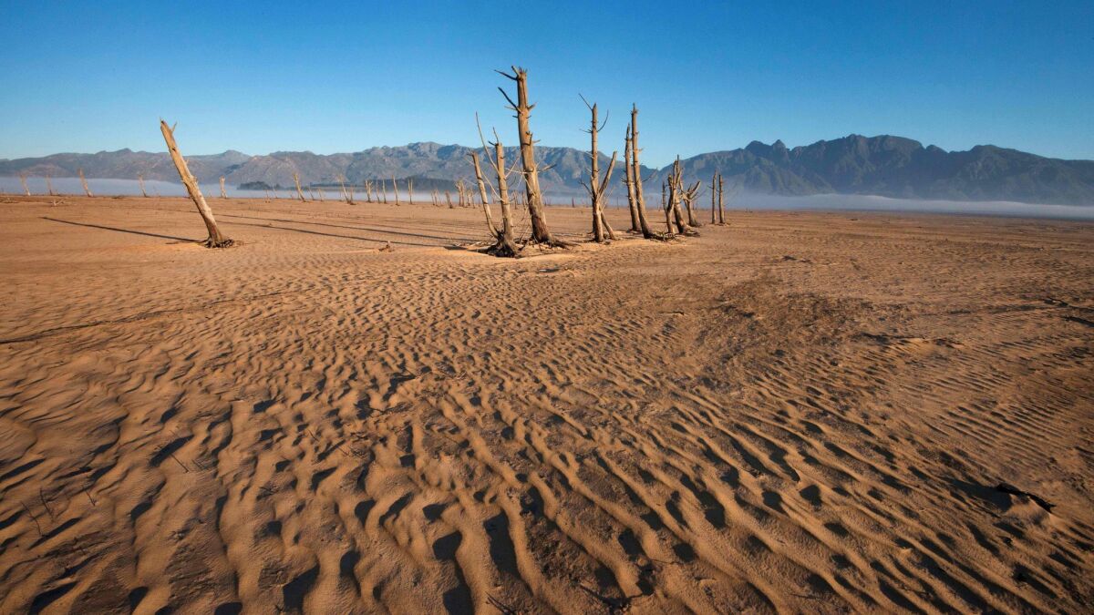 Bare sand and dried tree trunks stand out at Theewaterskloof Dam, which has less than 20% of its water capacity. The dam is the main water source for Cape Town, South Africa.