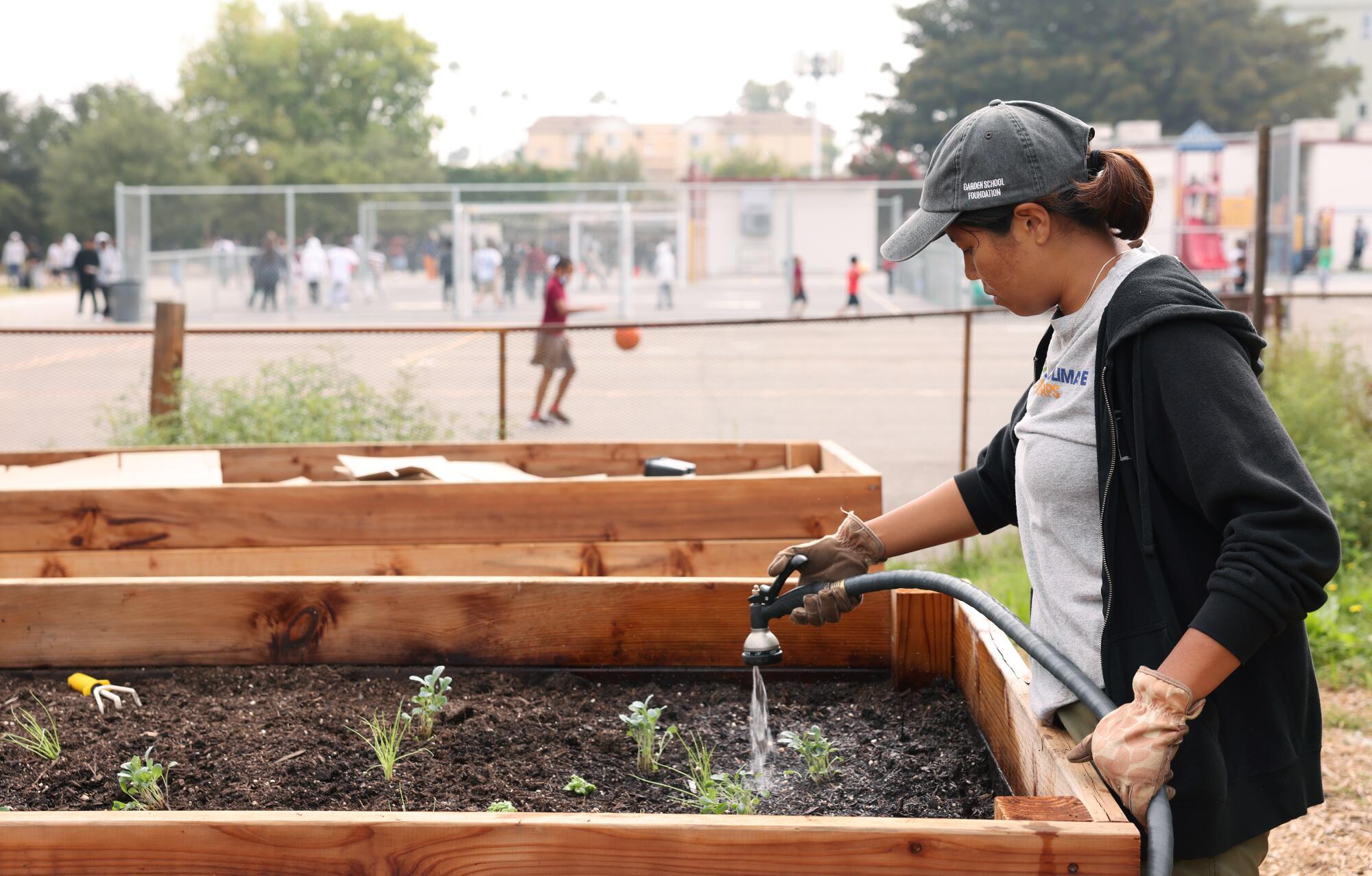 A woman sprays a raised garden bed near a playground with a hose.