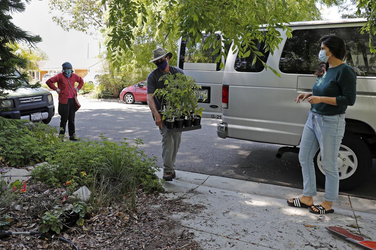 Joe Stead, center, the Orange Coast College Horticultural Department head, delivers spring sale plants to the home of Costa Mesa Councilwoman Arlis Reynolds, right.