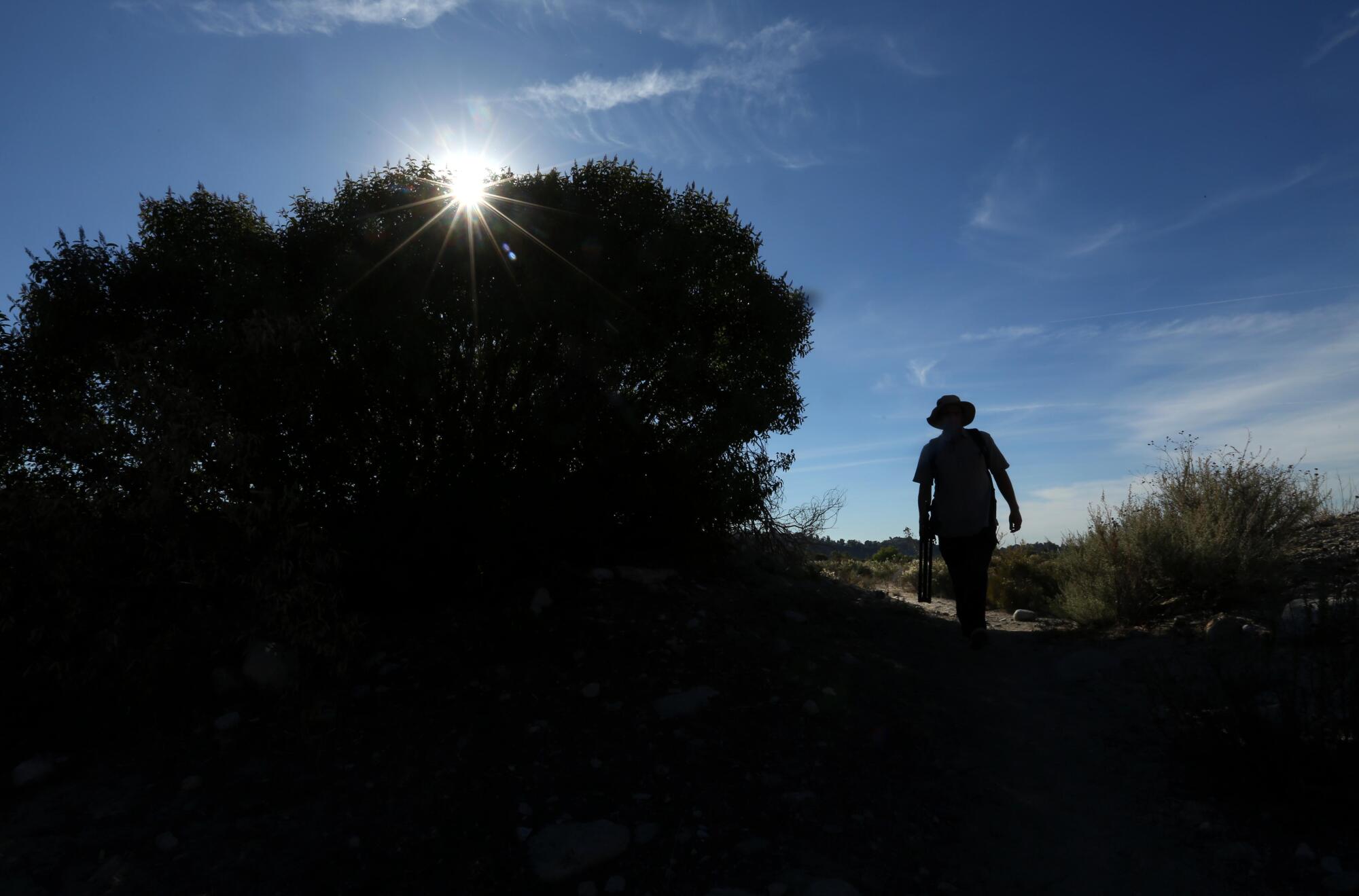 Matt Smith walks by a tree darkened by a shadow with the sun at his back. 