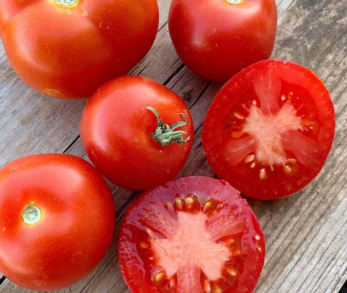 Several Cyril's Choice tomatoes, a tasty red heirloom, on a table with one sliced in half.