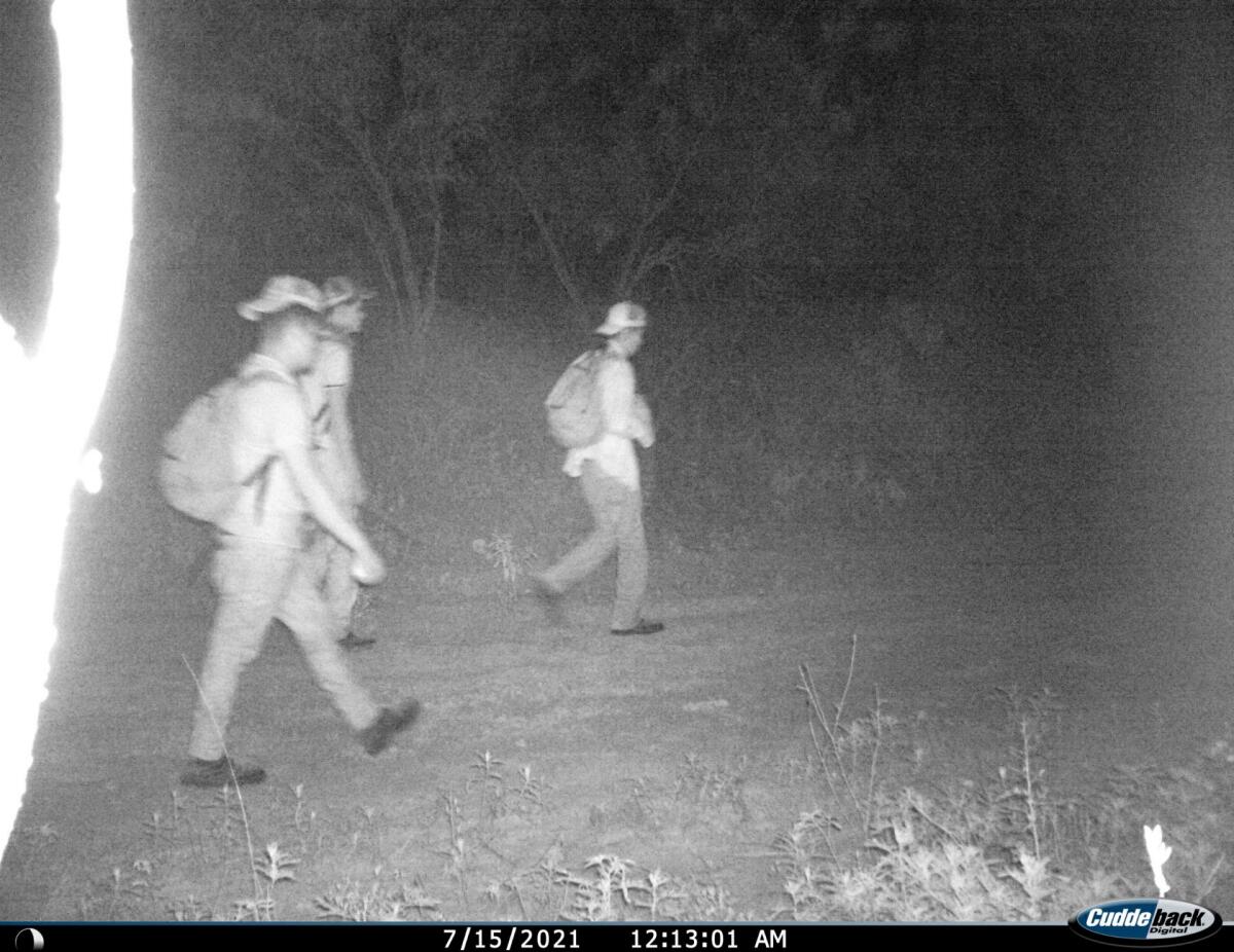 Migrants pictured on a game camera on the ranch Cole Hill manages outside of Uvalde, Texas.