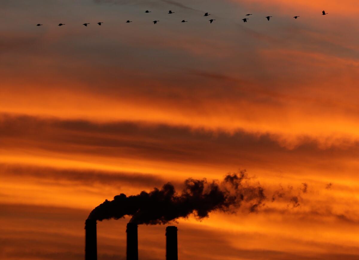 A flock of geese flies past the smokestacks at the Jeffrey Energy Center coal power plant near Emmett, Kan.