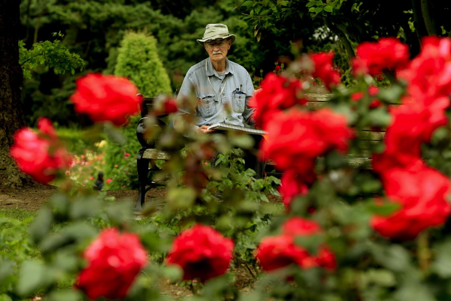 Rose garden