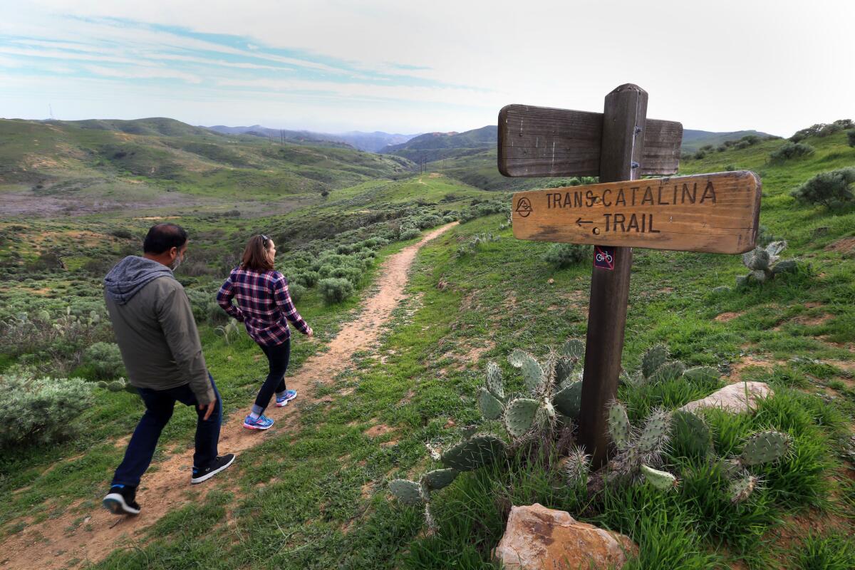The Trans-Catalina Trail runs from one end of the island to the other and crosses most of the campgrounds along the way.