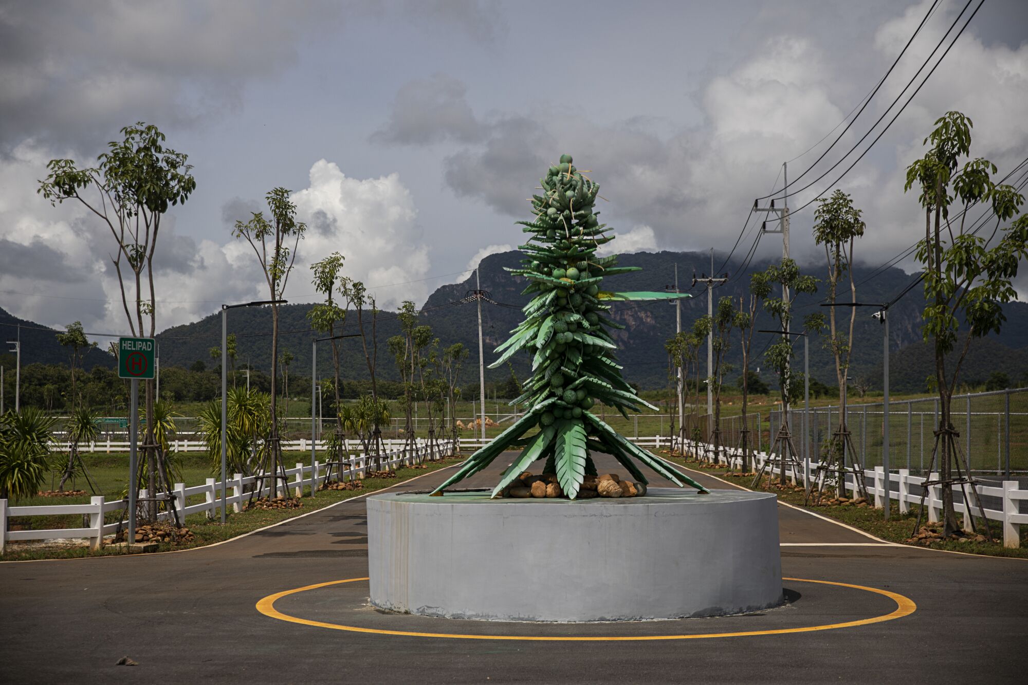 A marijuana plant sculpture sits in the middle of a roundabout