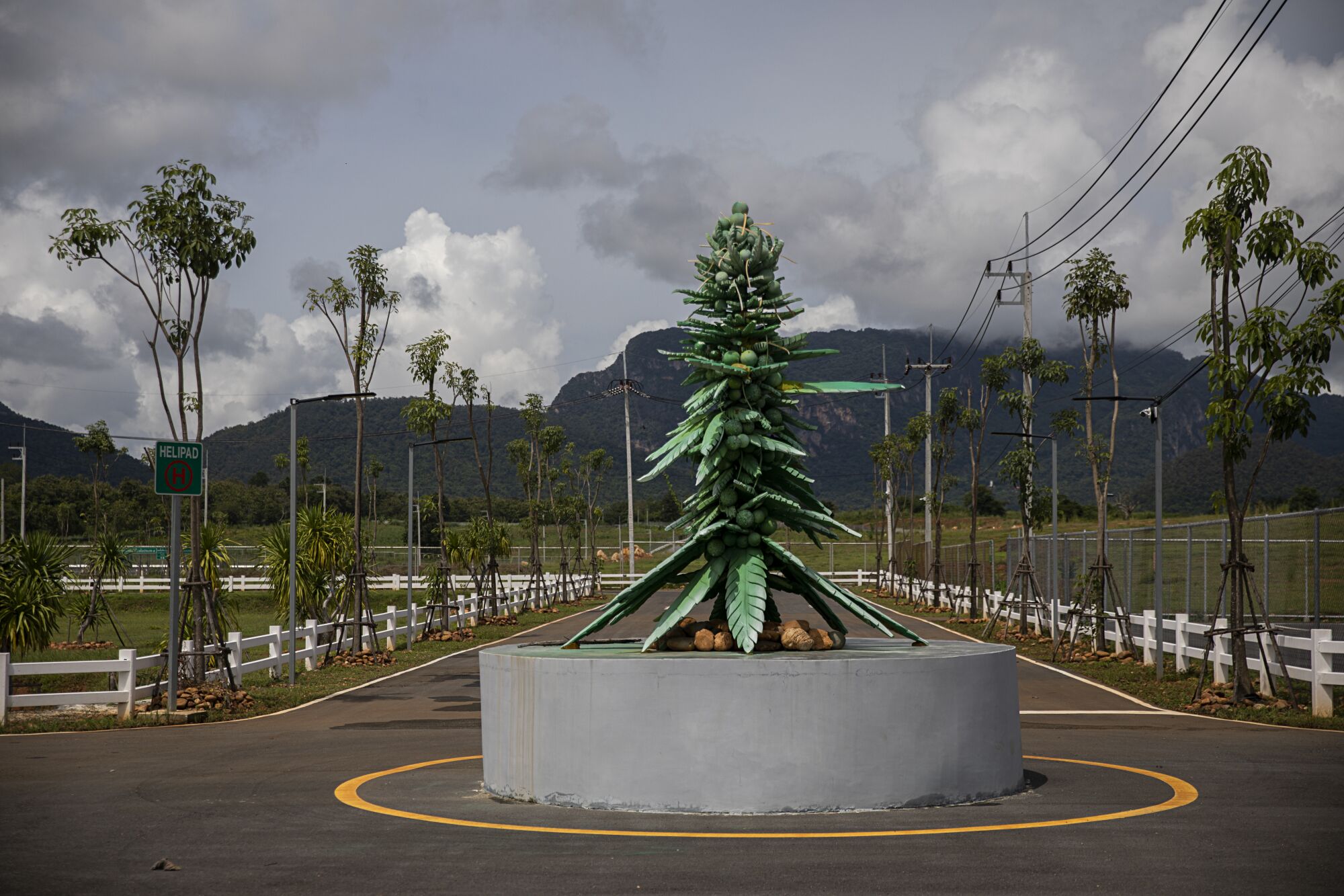 A marijuana plant sculpture sits in the middle of a roundabout 